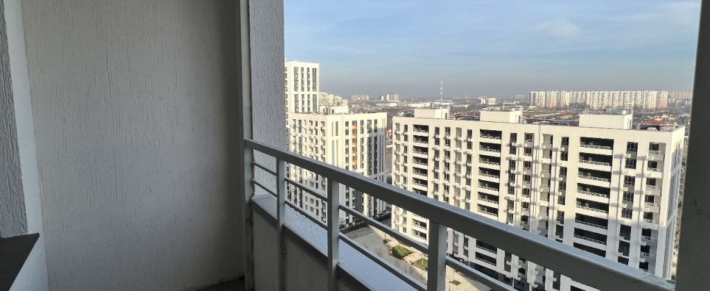 Новелла Новелла
